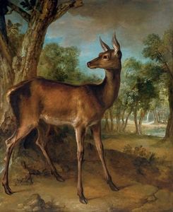 The Watchful Doe (biche Aux Augets)