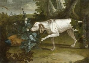 Jagdhund Mit Fasan by Jean-Baptiste Oudry