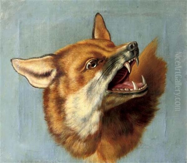 The Head Of A Fox (study) - view 1
