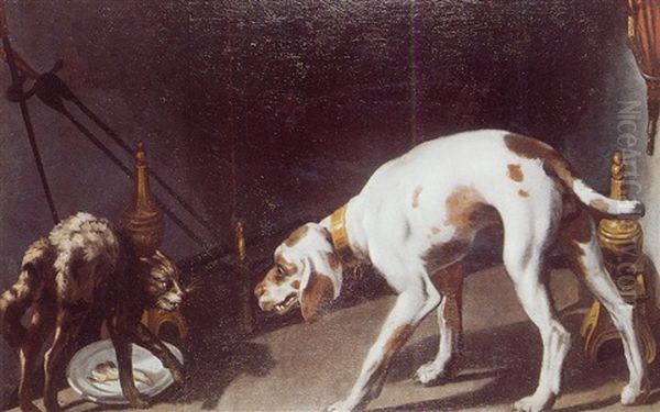 Rixe Entre Chien Et Chat - view 1