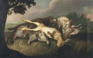Chien Defendant Des Trophees De Chasse Contre L'attaque D'un Chat