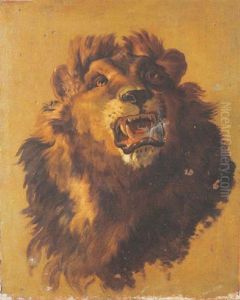 Etude De Tete De Lion by Jean-Baptiste Oudry
