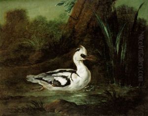 A Male Smew Swimming Near Reeds by Jean-Baptiste Oudry