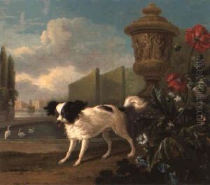 A Black And White Papillon In A Park Next To A Vase A Black And White Papillon In A Park Next To A Vase