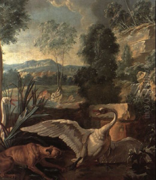 Dog Attacking Swans - view 1