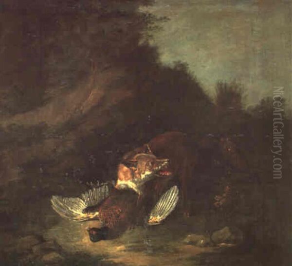 Renard Attaquant Un Faisan - view 1