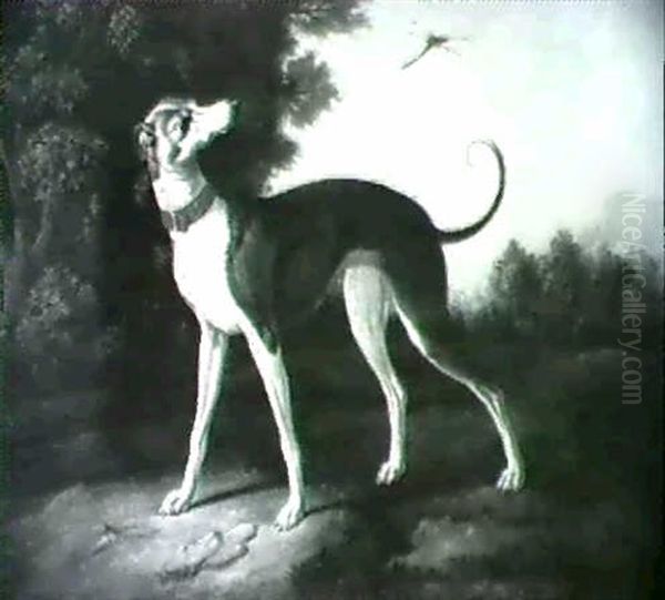 A Hound With A Dragonfly In A Landscape - view 1