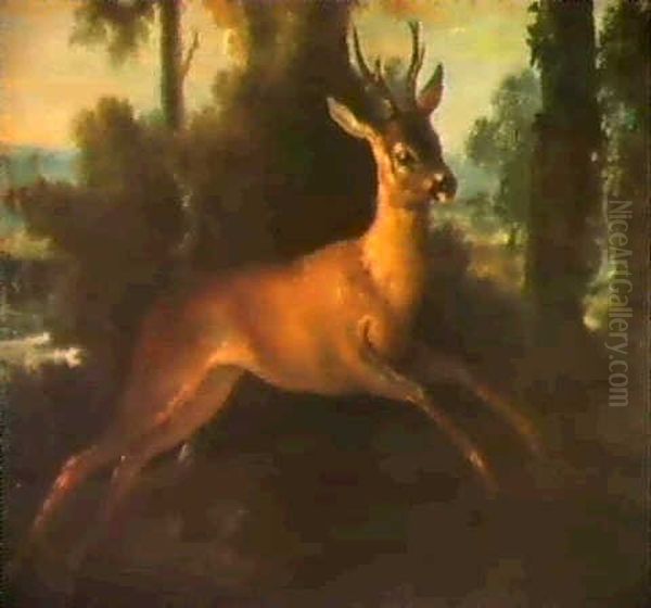 Le Debuche D'un Chevreuil - view 1