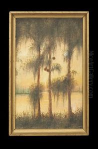 The Old Cypress