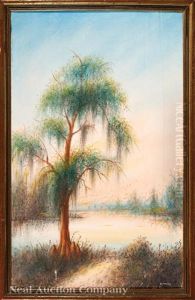 Old Cypress Tree At Ousley's Landing At Bagdad by Will Ousley