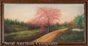 Red Buds Of Louisiana