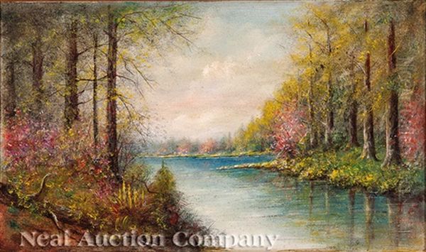 Calcasieu River, Southwest Louisiana - view 1