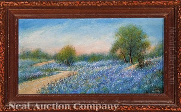 Texas Bluebonnets - view 1