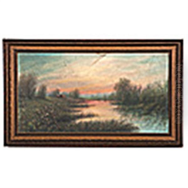 Sunset On The Marsh In Choupique, Louisiana - view 1