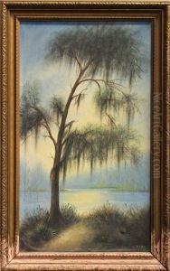 Bayou Scene