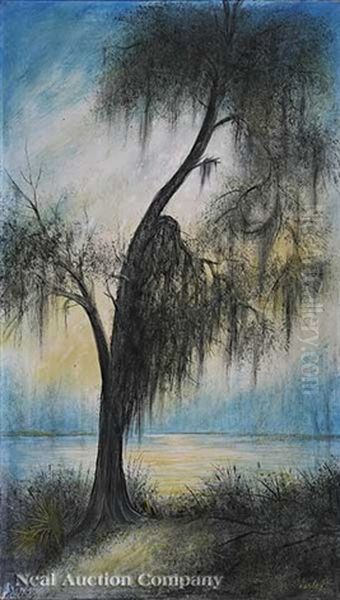 Cypress Silhouette With Spanish Moss - view 1