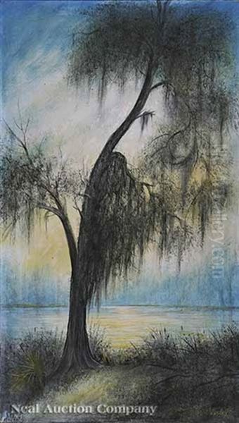 Cypress Silhouettes With Spanish Moss - view 1