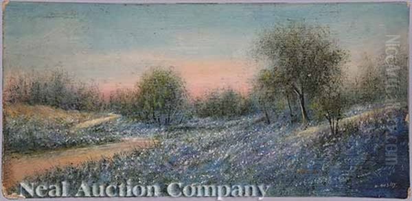 Bluebonnets Near San Antonio, Texas - view 1