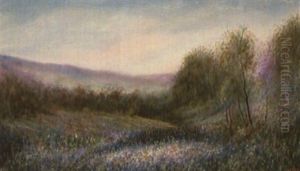 Texas Blue Bonnets