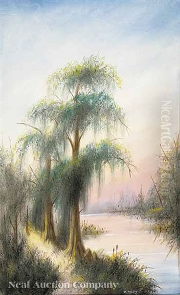 Sunset On Barnes Creek, Louisiana - view 1