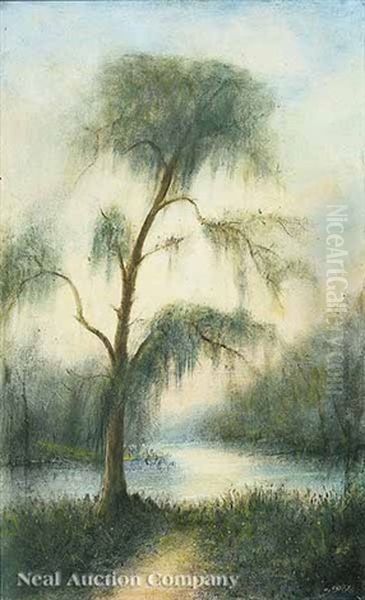 The Old Tree At Ousley's Landing, Bagdad, Louisiana - view 1