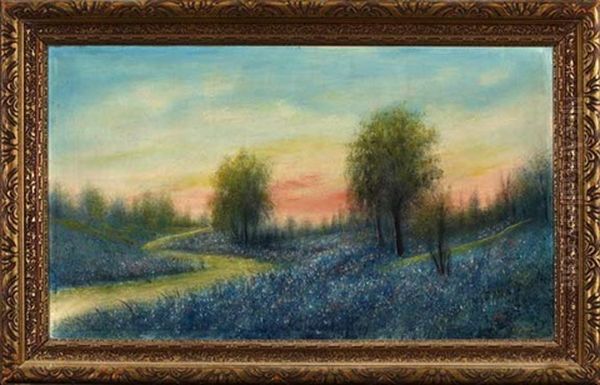 Creek Winding Through A Meadow Of Bluebonnets - view 1