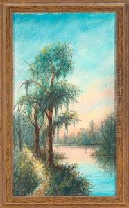 Barnes Creek, Louisiana - Scene Near The Lyles Bridge