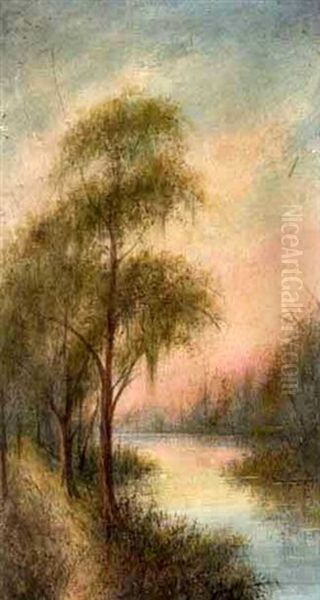 Barnes Creek, Louisiana, Near The Lyles Bridge - view 1