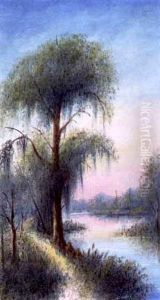 Sunset On Barnes Creek, Louisiana (artist's Photo, Verso)