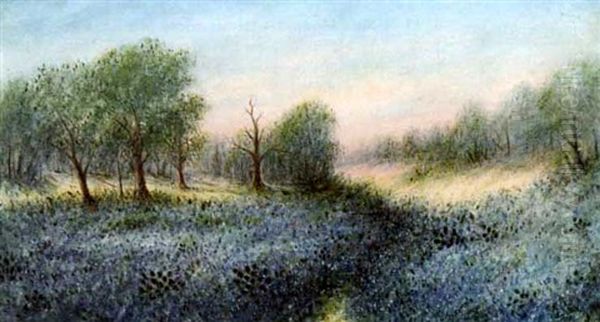 Texas Blue Bonnets - view 1