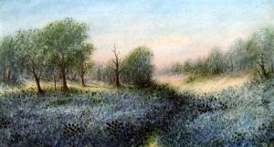 Texas Blue Bonnets