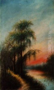 Sun Reflections, Barnes Creek, West Lake, Louisiana