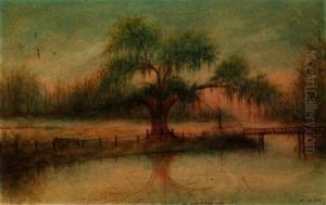 The Evangeline Oak At St. Martinville, La.