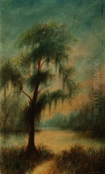 The Old Tree Of Ousley's Landing At Bagdad, Louisiana - view 1