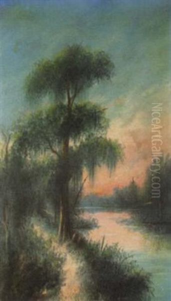 Louisiana Landscape - view 1