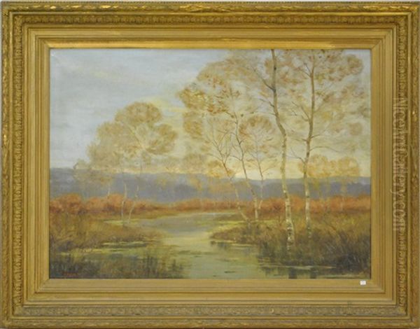 Paysage Marecageux - view 1