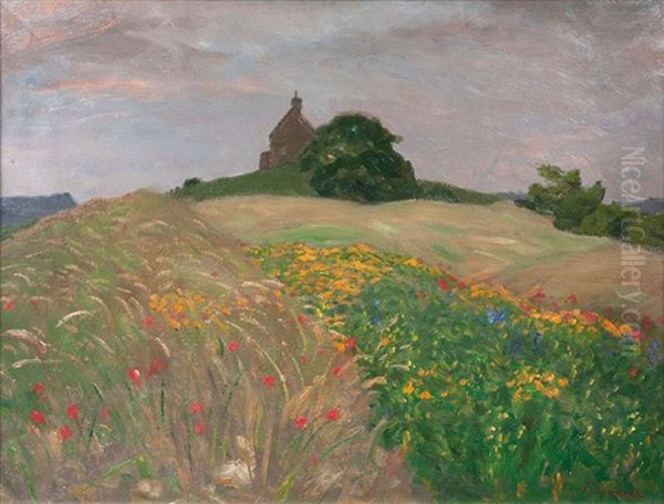 Blumige Felder - view 1