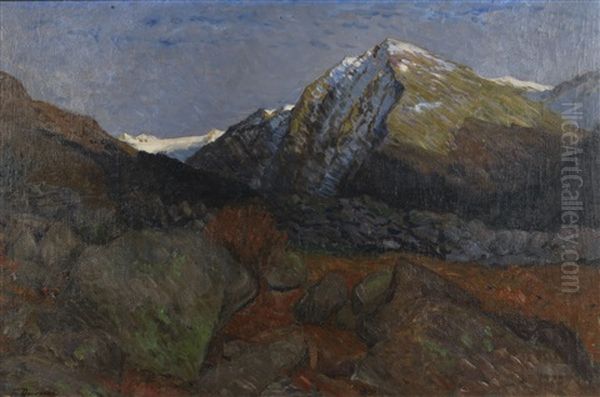 Bergkuppe Im Engadin - view 1
