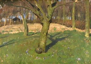 Krokuswiese by Fritz Overbeck