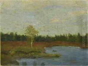 Brocken Bei Vegesack Worpsweder Landschaft Mit Einzelner Birke An Weiher