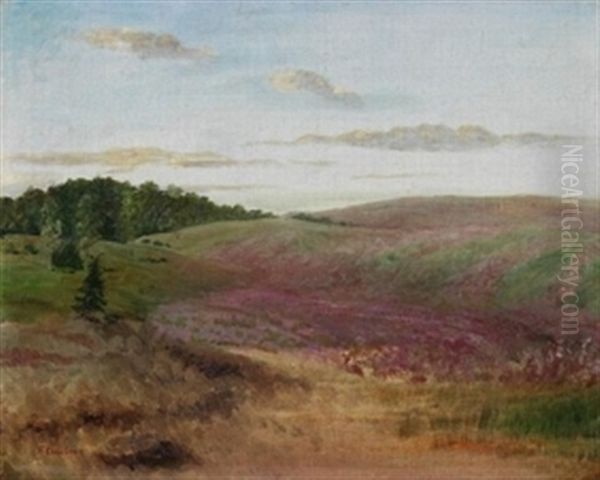 Landschaft Mit Buchweizenfeldern - view 1