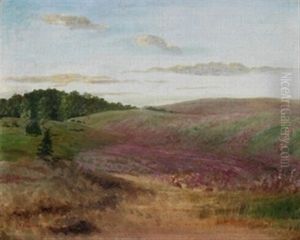 Landschaft Mit Buchweizenfeldern Landschaft Mit Buchweizenfeldern