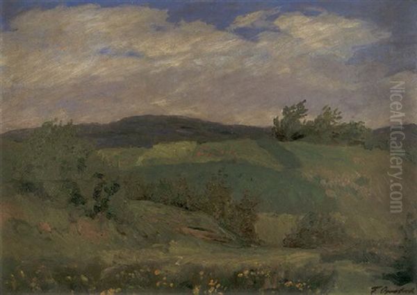 Bluhende Sommerlandschaft - view 1
