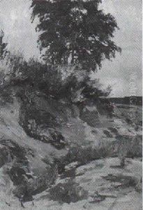 Bluhender Ginster Auf Einem Sandabbruch Am Weyerberg Bluhender Ginster Auf Einem Sandabbruch Am Weyerberg