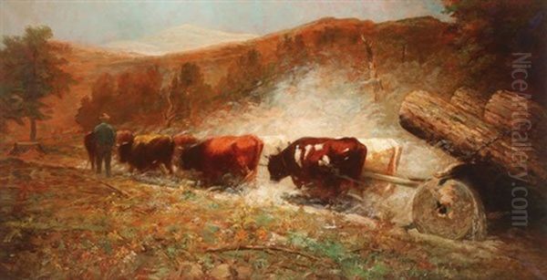 Oxen Team Pulling Logs - view 1
