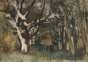 Sunny Forest by Laszlo Paal