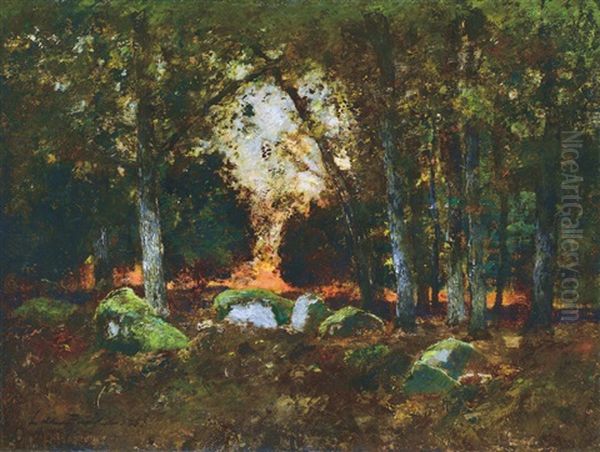Forest With Rocks - view 1