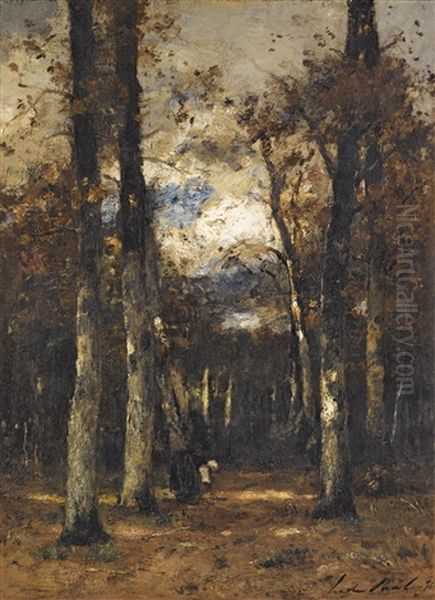 Forest At Fontainebleau - view 1
