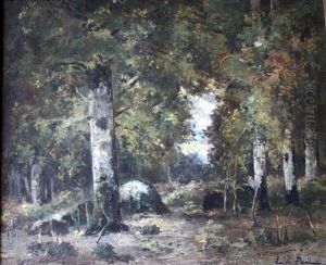 Sous Bois Sous Bois