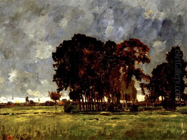 Vihar Utan - Beileni Taj (after The Storm - Landscape In Beilen) - view 1